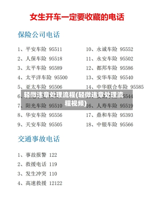 轻微违章处理流程(轻微违章处理流程视频)