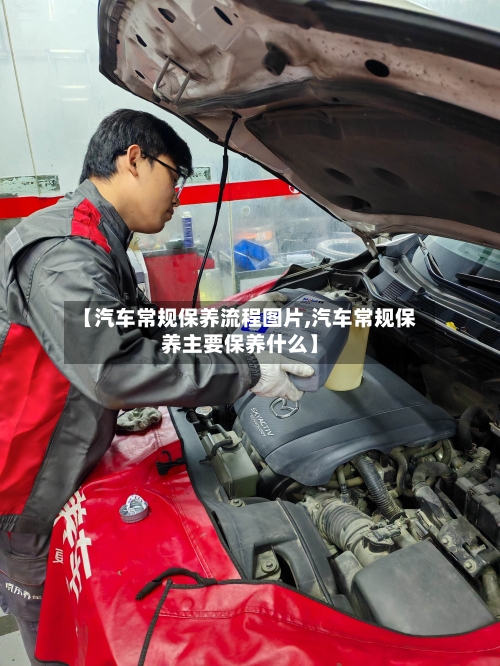 【汽车常规保养流程图片,汽车常规保养主要保养什么】