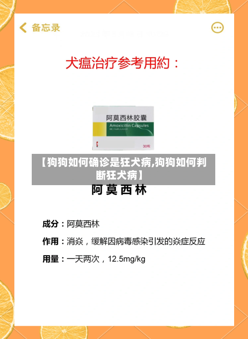 【狗狗如何确诊是狂犬病,狗狗如何判断狂犬病】