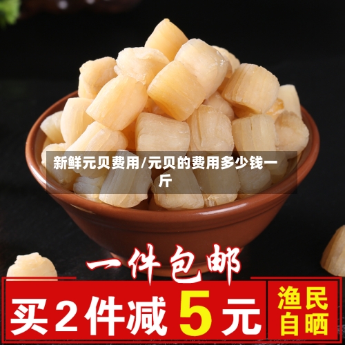 新鲜元贝费用/元贝的费用多少钱一斤-第2张图片