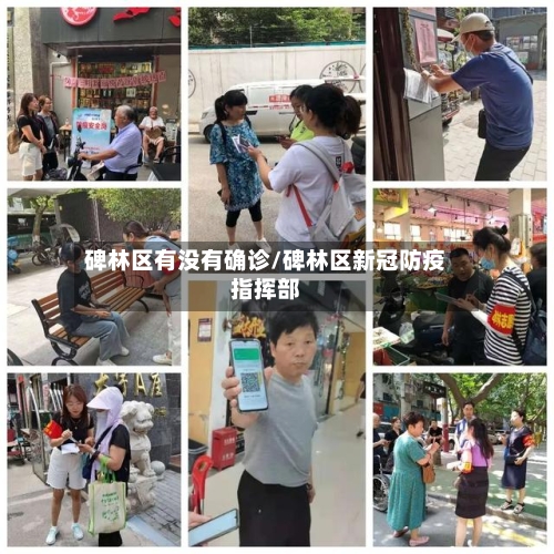 碑林区有没有确诊/碑林区新冠防疫指挥部
