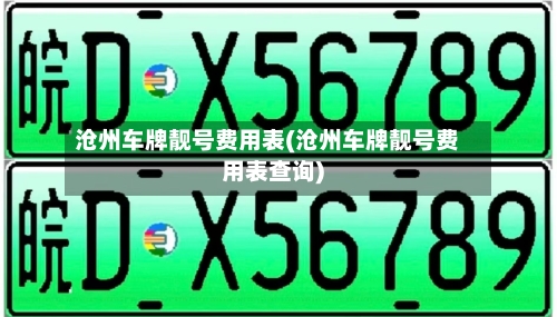 沧州车牌靓号费用表(沧州车牌靓号费用表查询)-第2张图片