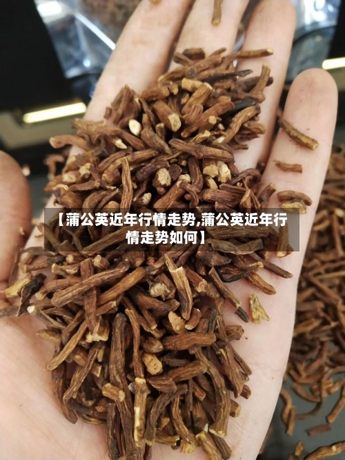 【蒲公英近年行情走势,蒲公英近年行情走势如何】-第2张图片