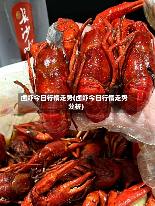 卤虾今日行情走势(卤虾今日行情走势分析)