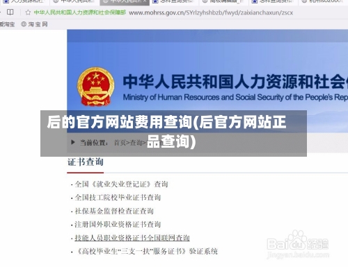 后的官方网站费用查询(后官方网站正品查询)-第3张图片