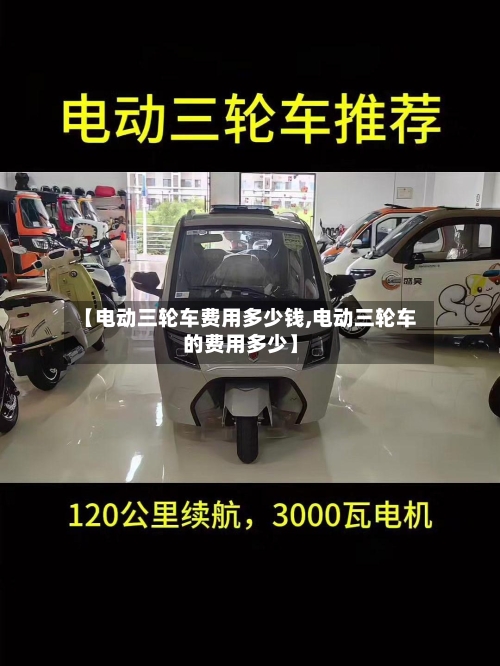 【电动三轮车费用多少钱,电动三轮车的费用多少】-第2张图片