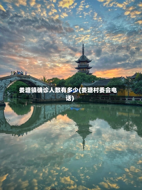娄塘镇确诊人数有多少(娄塘村委会电话)