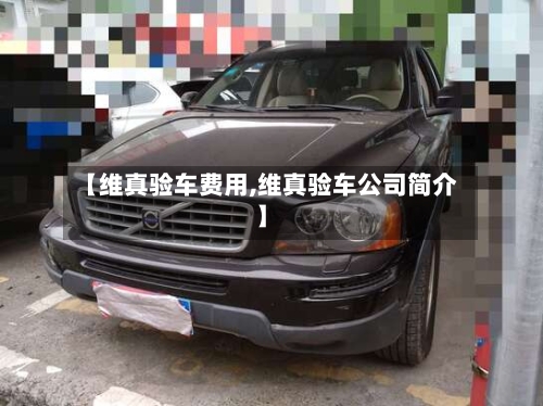 【维真验车费用,维真验车公司简介】-第2张图片