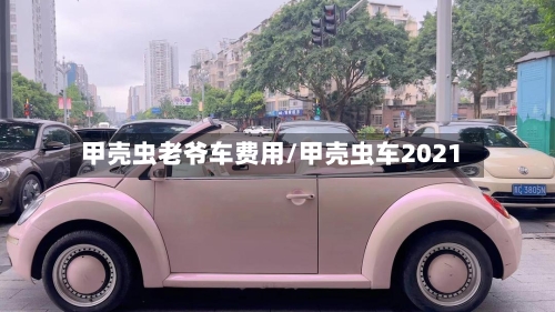 甲壳虫老爷车费用/甲壳虫车2021