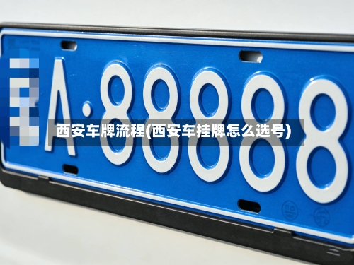 西安车牌流程(西安车挂牌怎么选号)-第3张图片