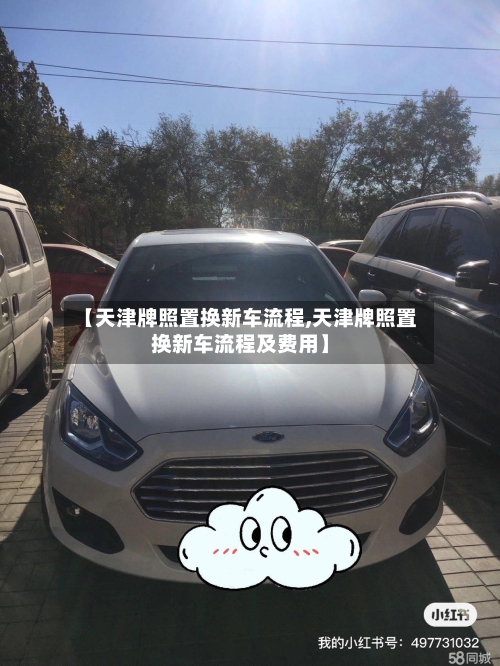 【天津牌照置换新车流程,天津牌照置换新车流程及费用】