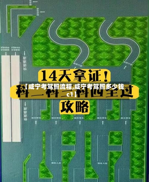 【咸宁考驾照流程,咸宁考驾照多少钱c1】