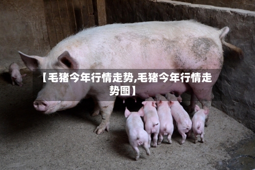 【毛猪今年行情走势,毛猪今年行情走势图】-第3张图片