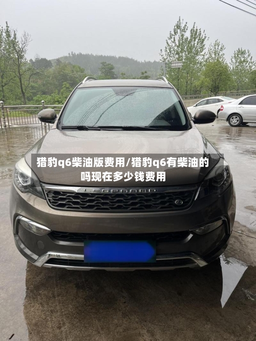 猎豹q6柴油版费用/猎豹q6有柴油的吗现在多少钱费用-第2张图片