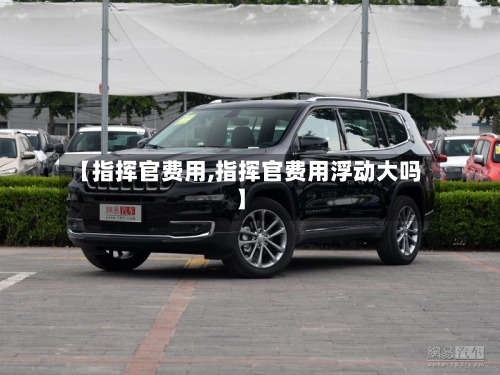 【指挥官费用,指挥官费用浮动大吗】