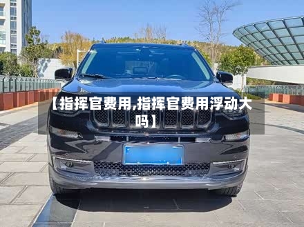 【指挥官费用,指挥官费用浮动大吗】-第2张图片