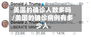 美国的确诊人数多吗/美国的确诊病例有多少人-第2张图片