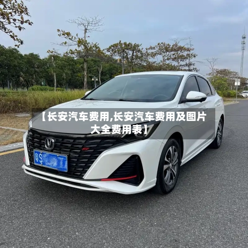 【长安汽车费用,长安汽车费用及图片大全费用表】-第2张图片
