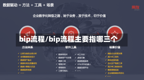 bip流程/bip流程主要指哪三个