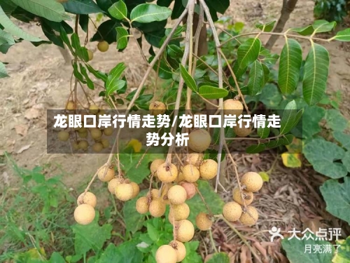 龙眼口岸行情走势/龙眼口岸行情走势分析