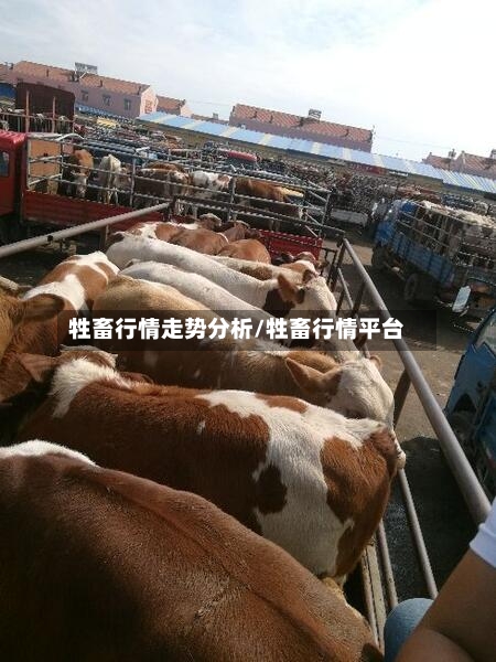 牲畜行情走势分析/牲畜行情平台-第2张图片