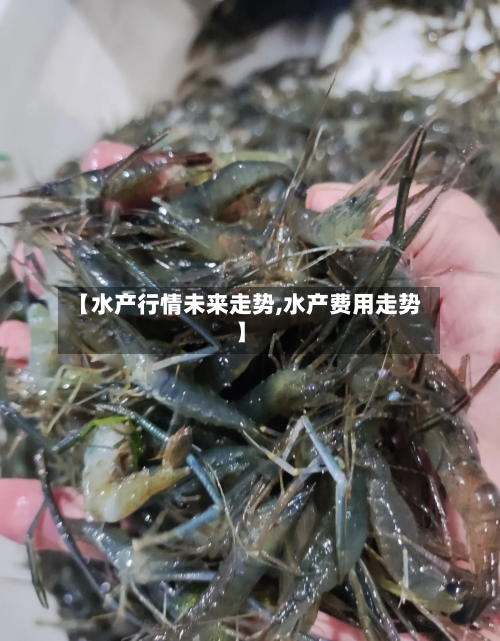 【水产行情未来走势,水产费用走势】