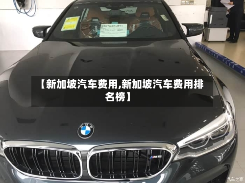 【新加坡汽车费用,新加坡汽车费用排名榜】