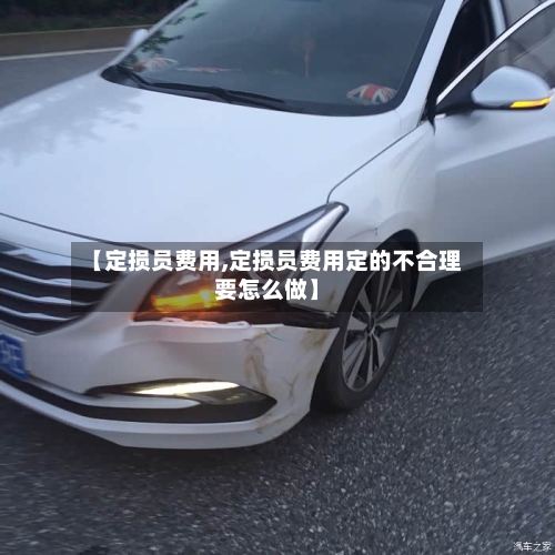 【定损员费用,定损员费用定的不合理要怎么做】-第3张图片