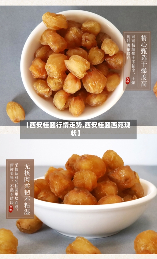 【西安桂圆行情走势,西安桂圆西苑现状】
