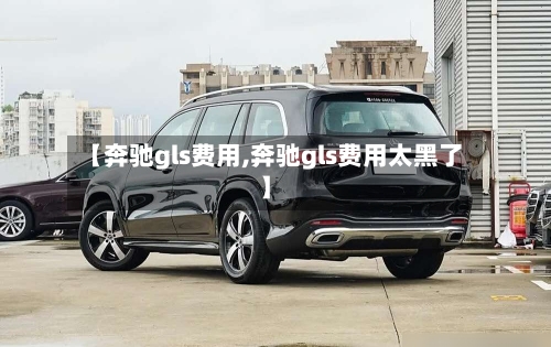 【奔驰gls费用,奔驰gls费用太黑了】-第2张图片