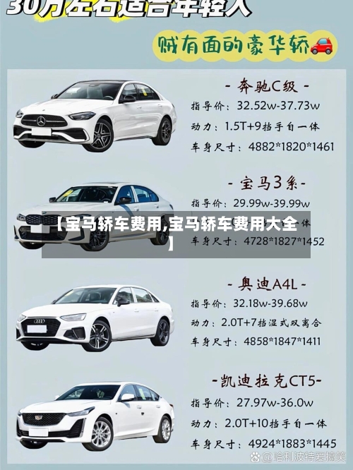 【宝马轿车费用,宝马轿车费用大全】-第2张图片