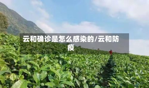 云和确诊是怎么感染的/云和防疫