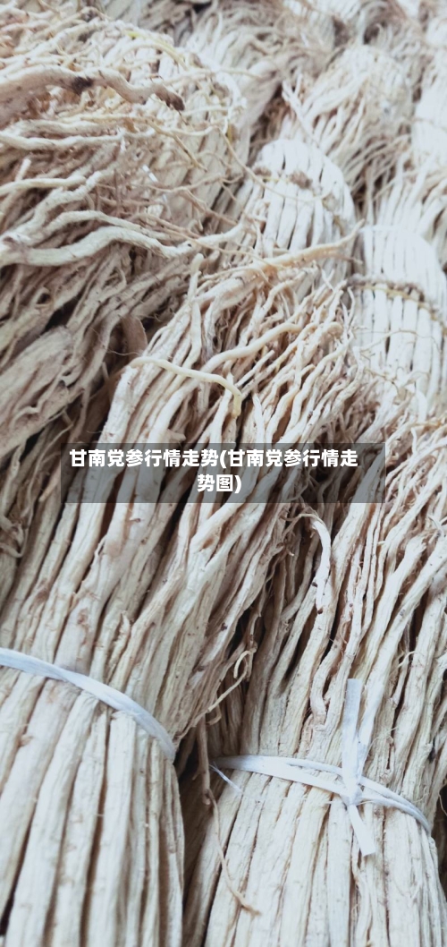 甘南党参行情走势(甘南党参行情走势图)