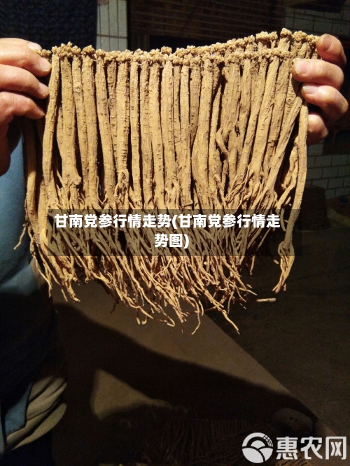 甘南党参行情走势(甘南党参行情走势图)-第2张图片