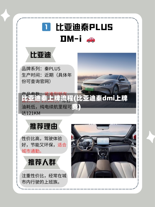 比亚迪秦上牌流程(比亚迪秦dmi上牌费)-第3张图片