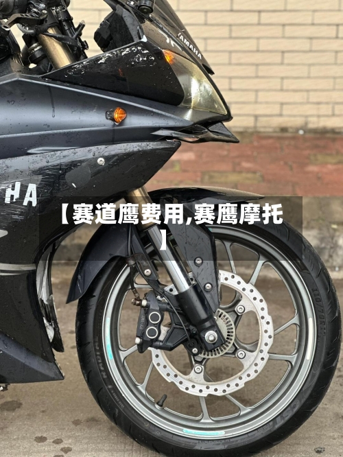 【赛道鹰费用,赛鹰摩托】-第2张图片