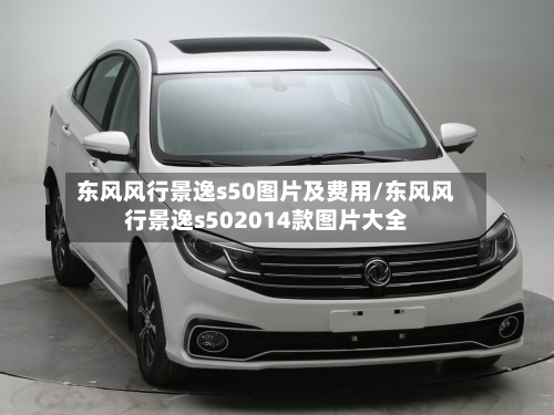 东风风行景逸s50图片及费用/东风风行景逸s502014款图片大全-第2张图片