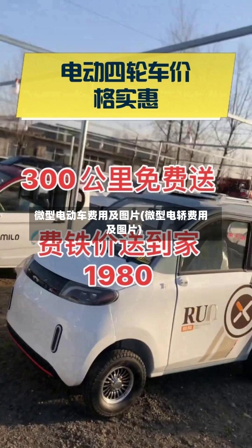 微型电动车费用及图片(微型电轿费用及图片)