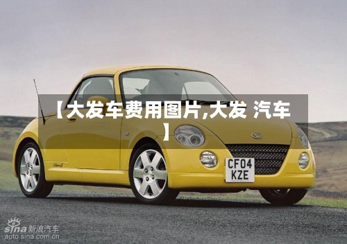 【大发车费用图片,大发 汽车】-第2张图片