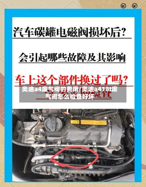 奥迪a4废气阀的费用/奥迪a418t废气阀怎么检查好坏