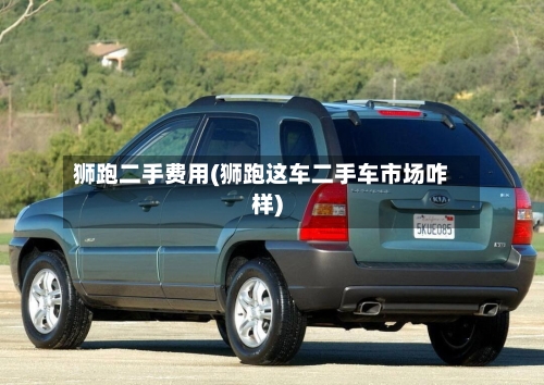 狮跑二手费用(狮跑这车二手车市场咋样)